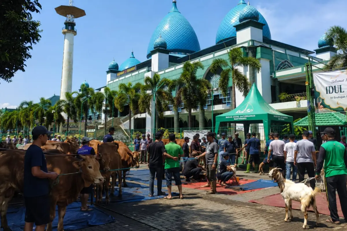Sambut Idul Adha, DMI Banyuwangi Siapkan Qurban yang Aman, Sehat, dan Bermakna