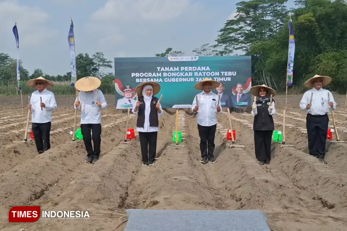 Hadiri Bongkar Ratoon, Khofifah: Jatim Berkomitmen Kuat Dukung Target Swasembada Gula Nasional