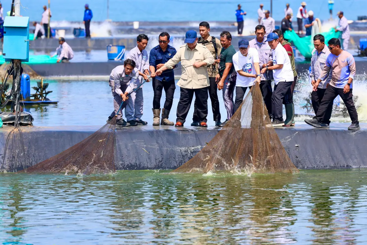 Panen Udang Bersama Presiden, Gubernur Ahmad Luthfi Optimistis Masa Depan Perikanan Jateng