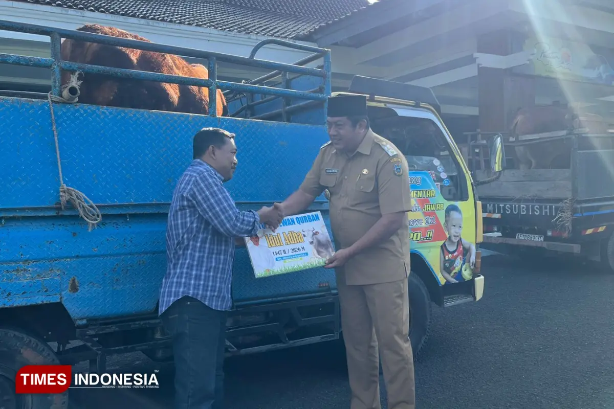 Tak Ada Kambing, Pemkab Pacitan Hanya Kurban 1 Ekor Sapi di Idul Adha 1447 H