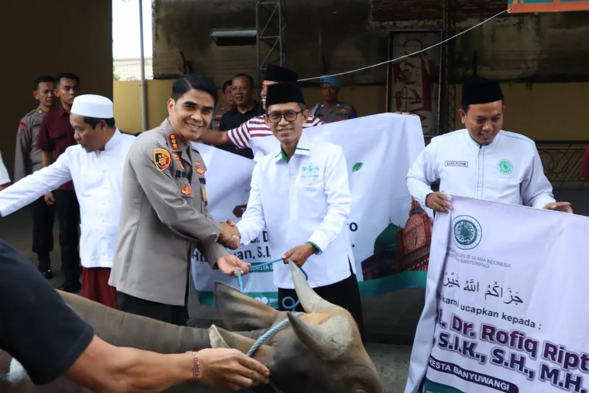 Idul Adha 2026, Polresta Banyuwangi Salurkan Puluhan Sapi dan Kambing kepada Masyarakat