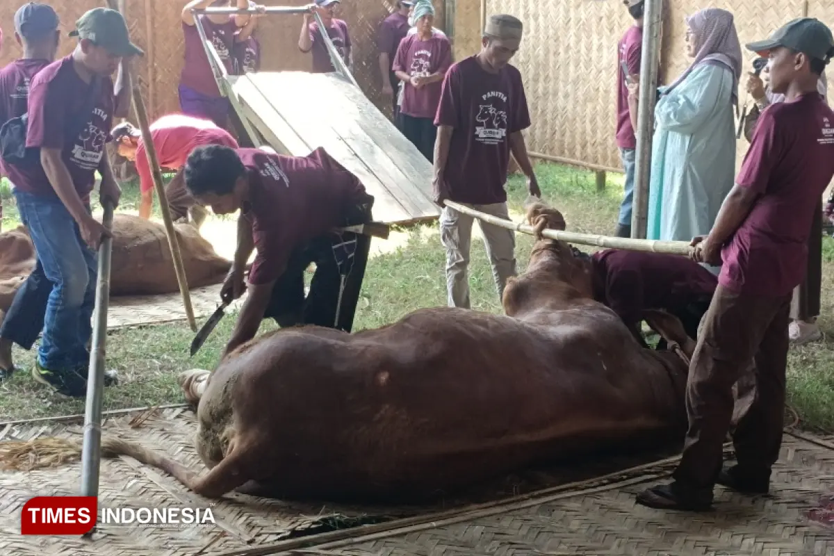 Ponpes Al Islah Bondowoso Sembelih 980 Hewan Kurban, Ada dari Kapolri dan Presiden RI