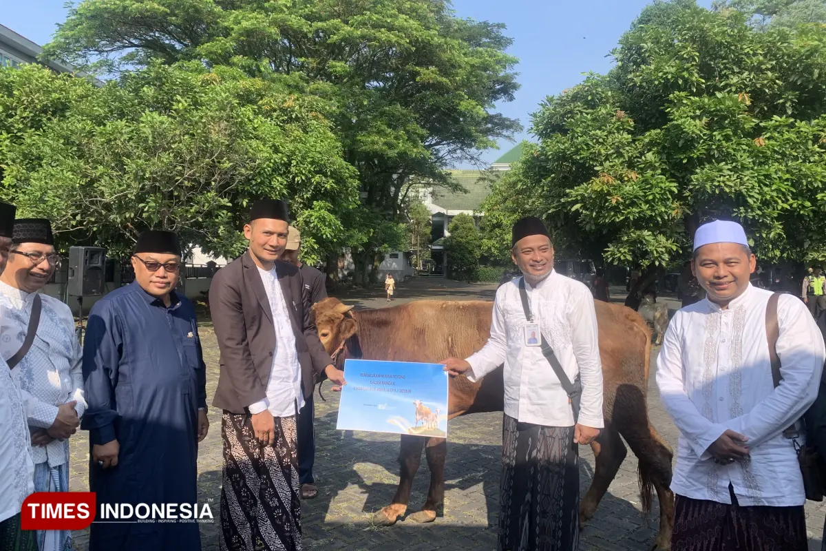 Sempurnakan Idul Adha, Unisma Sembelih 55 Hewan Kurban
