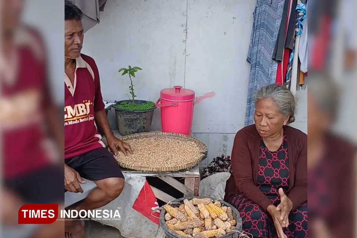 Potret Kemiskinan Kota Banjar: Kisah Pasutri Bertahan Hidup, Makan Jagung di Lahan PU