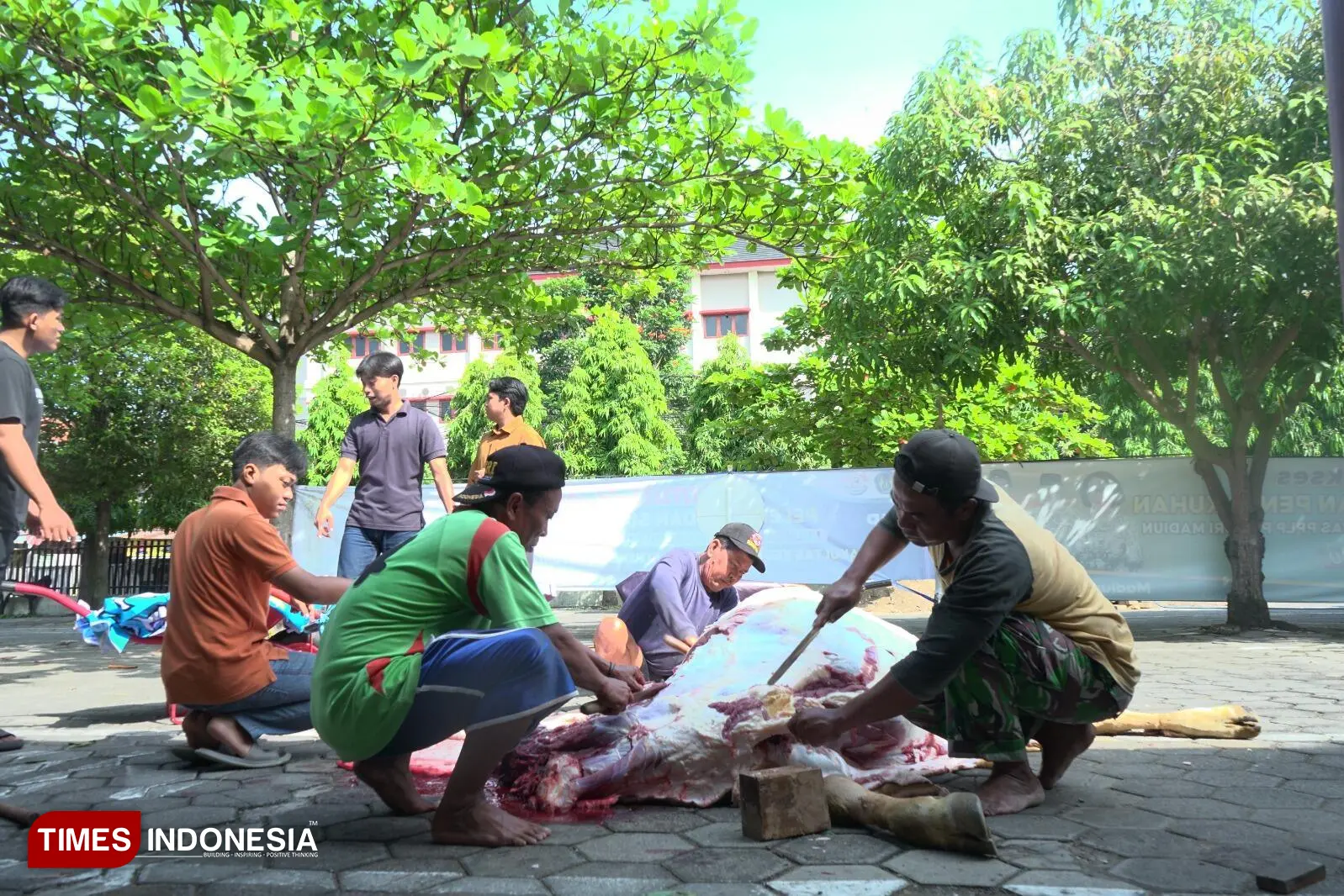 Penyerahan hewan kurban - 1