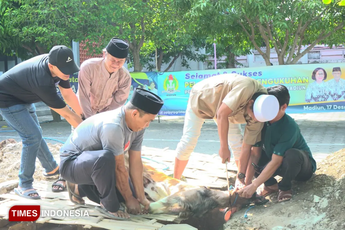 Penyerahan hewan kurban - 2