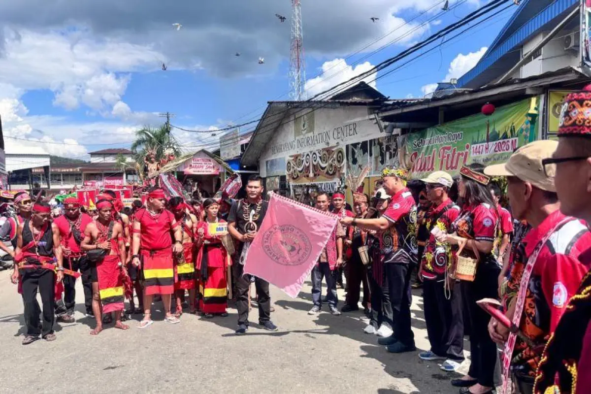 Meriah, Karnaval 1.000 Bae di Bengkayang Libatkan Ribuan Peserta Parade Budaya