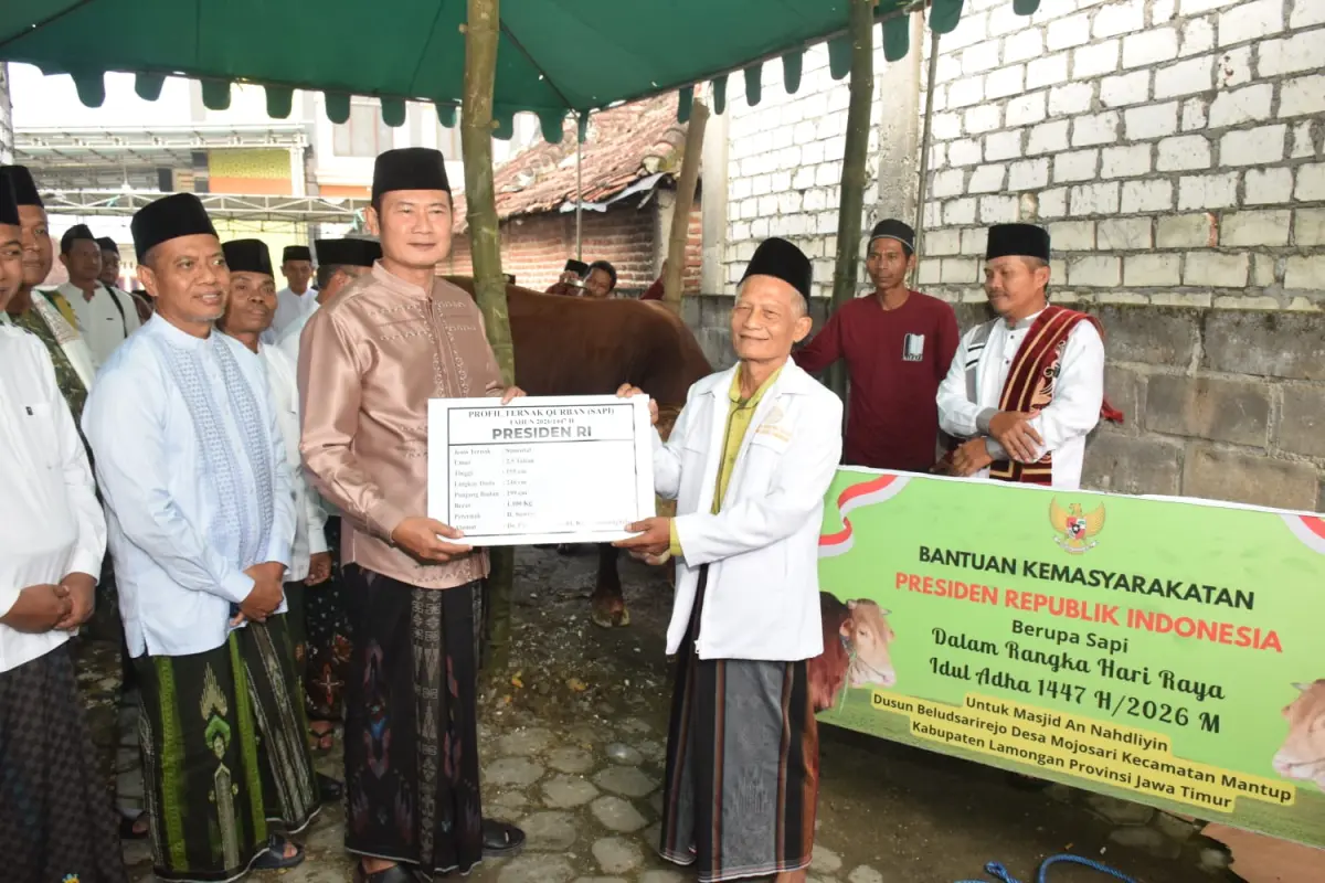 Idul Adha 1447 H, Sapi Kurban 1,1 Ton Presiden Prabowo Disembelih di Lamongan