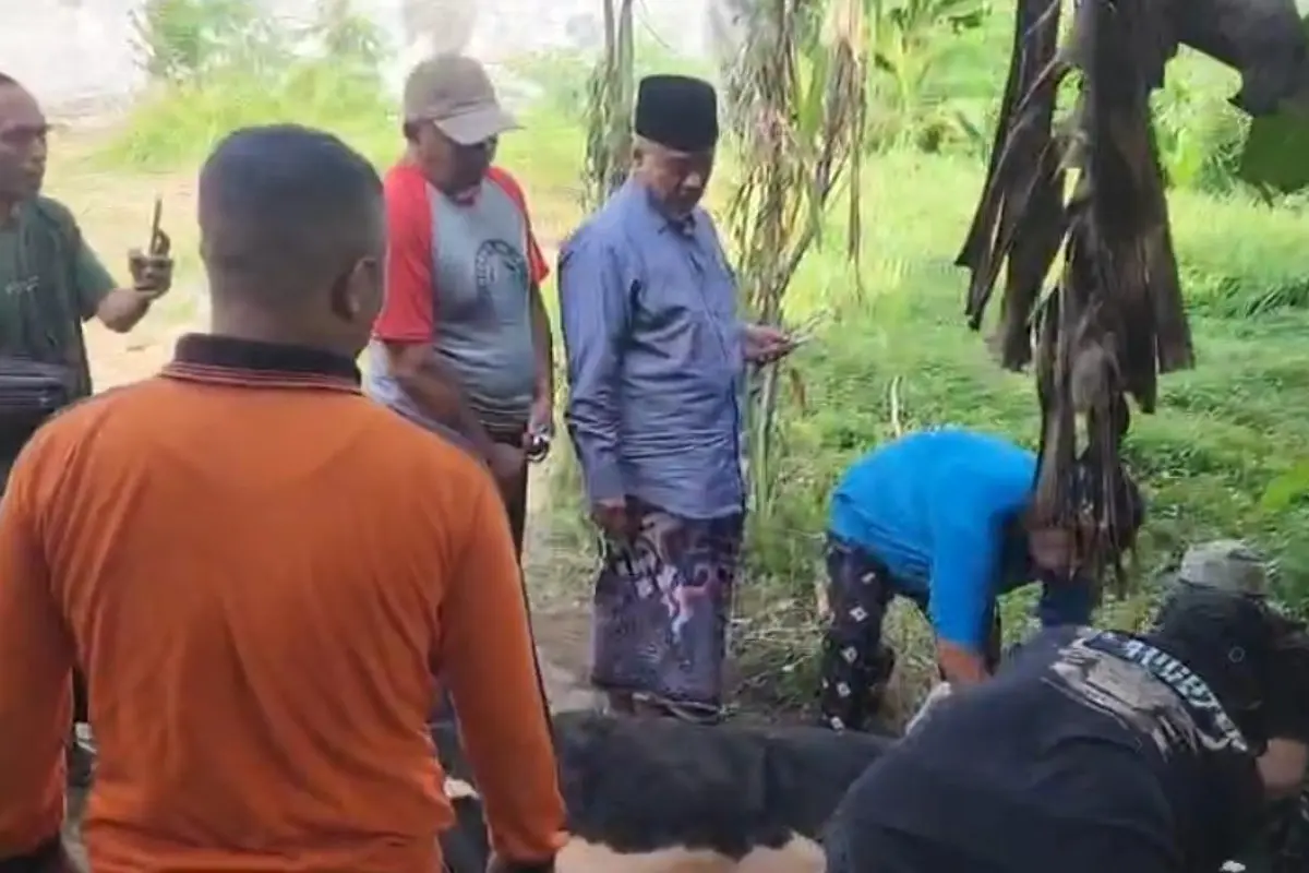 PCNU Apresiasi Konsistensi Ahmad Basarah Salurkan Hewan Kurban di Malang