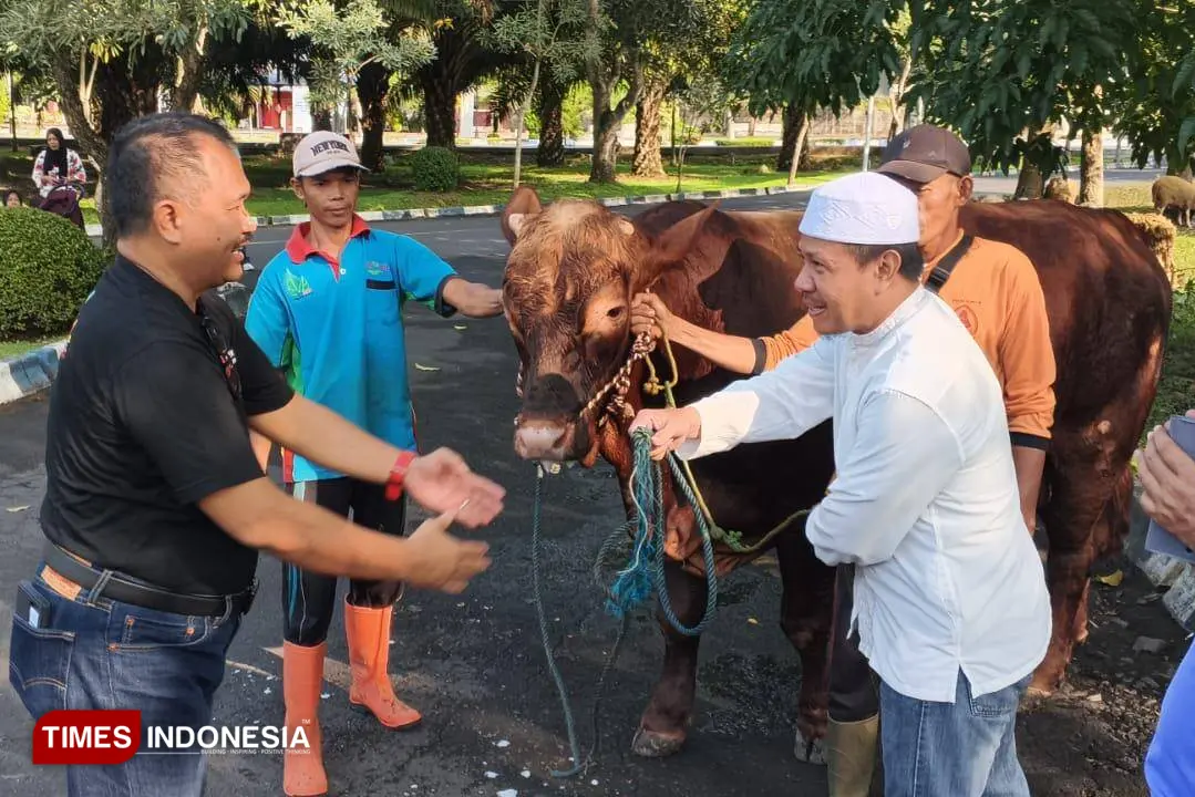 Gunakan Besek, Polije Sembelih Belasan Hewan Kurban Tanpa Plastik