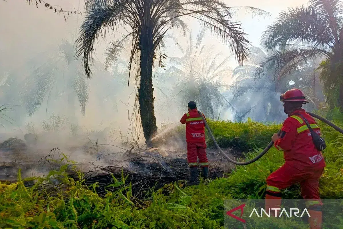 Karhutla di Riau Meluas, Manggala Agni Padamkan Api 20 Hektare