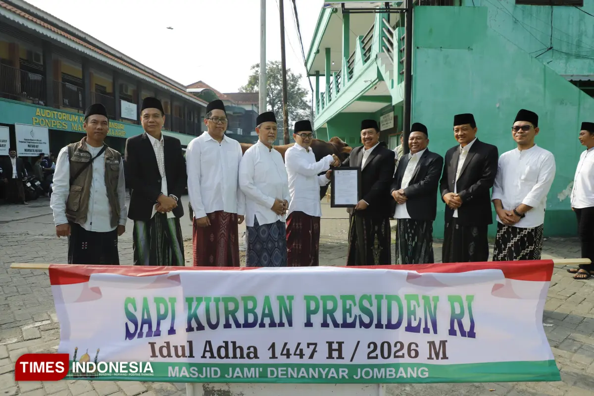 sapi kurban