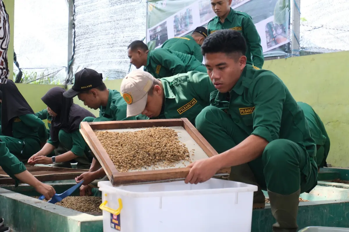 Sinergi Pengelolaan Limbah, Polbangtan Malang Dikunjungi PHT Wlingi Dinas Peternakan dan Perikanan Kabupaten Blitar