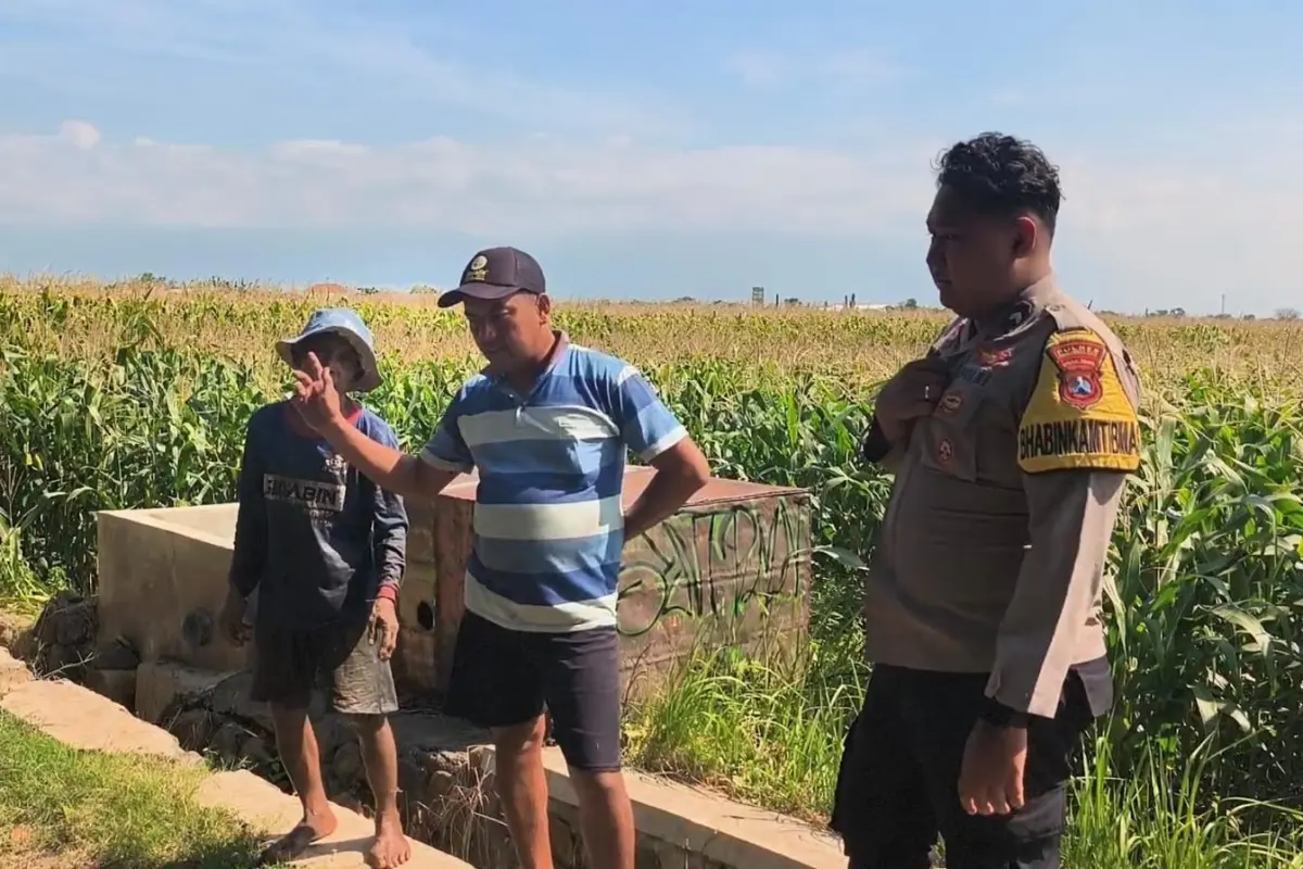 Bukan Sekadar Pengamanan, Bhabinkamtibmas Ini Malah Rutin ke Lahan Jagung Warga
