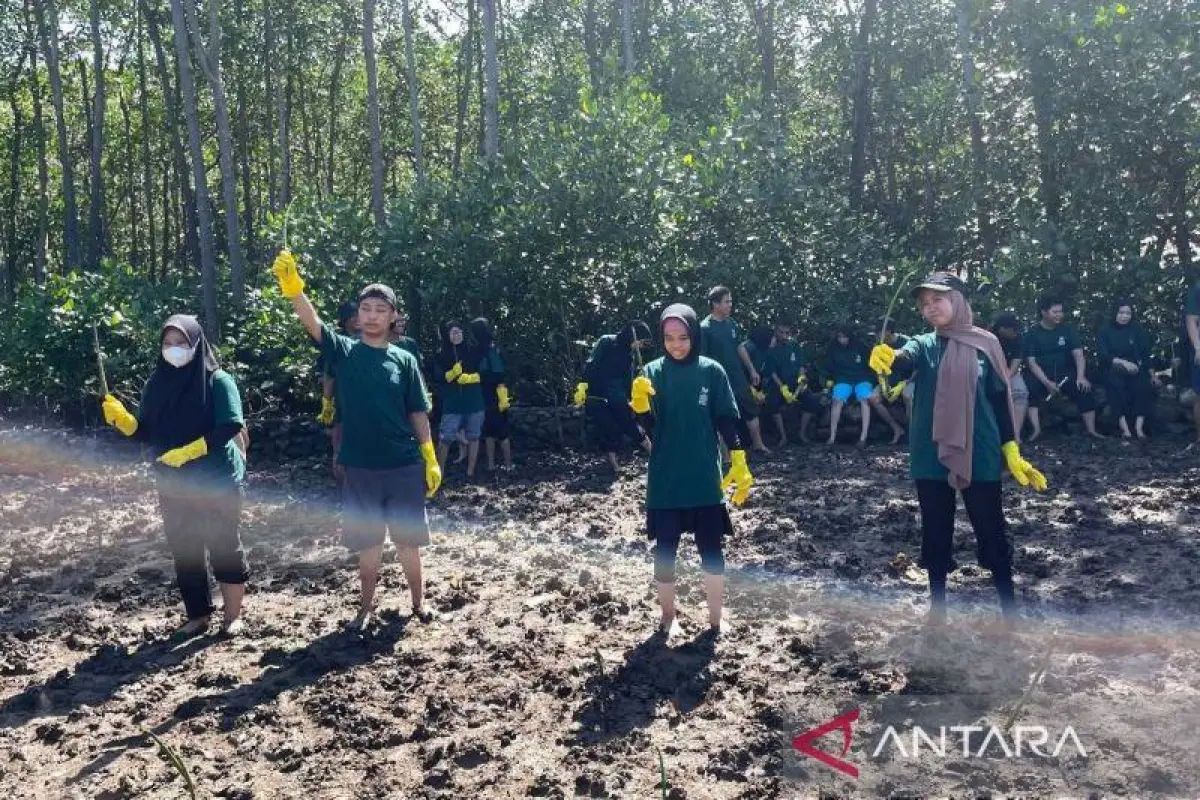 Hari Lingkungan Hidup, Puluhan Pemuda Difabel Netra Tanam Mangrove di Makassar