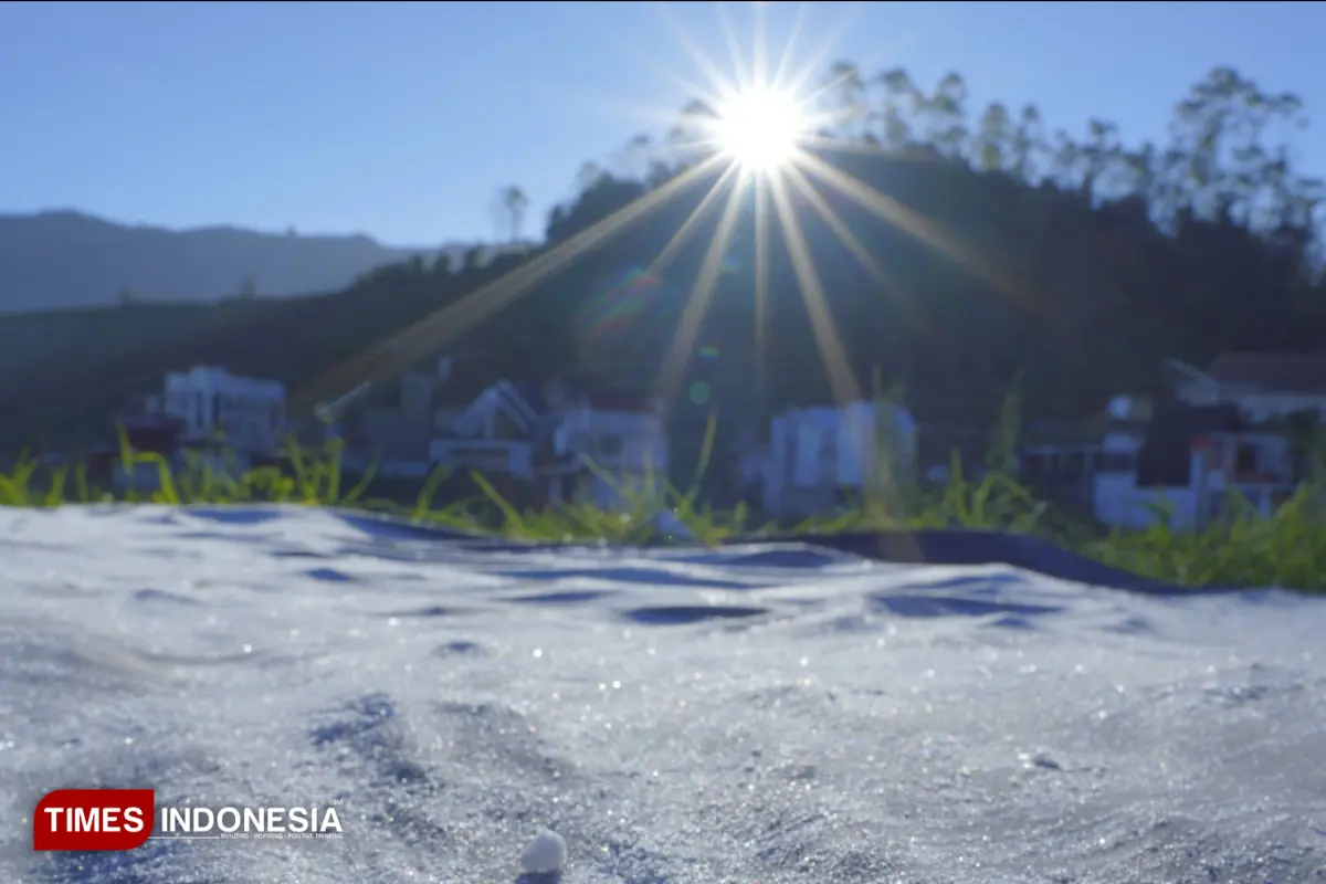 Embun Es Turun Lebih Awal di Kawasan Dieng Banjarnegara, Suhu Minus 2 Derajat Celcius