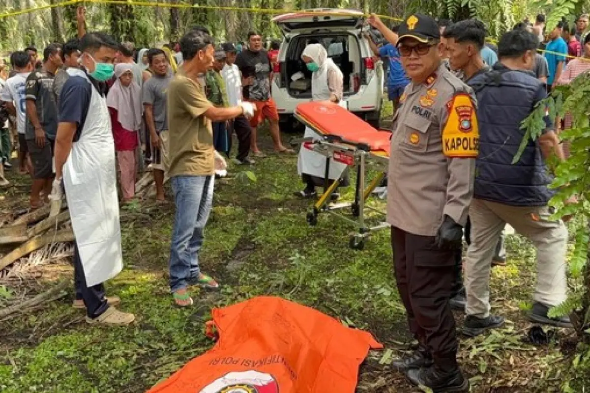 Heboh Penemuan Mayat di Perkebunan Sawit Bangka Barat, Korban Ternyata Warga Garut