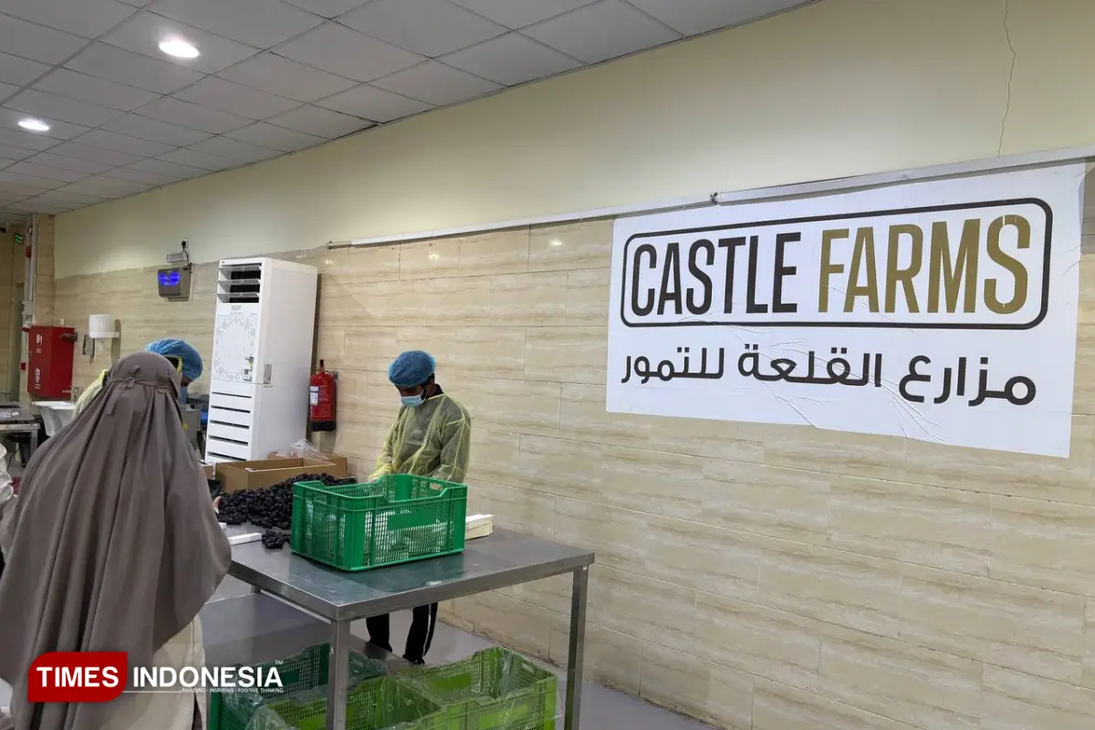 Ekspor ke 25 Negara, Castle Farms Menjadi Kebun Kurma Ajwa Terbesar di Madinah dengan Teknologi Modern