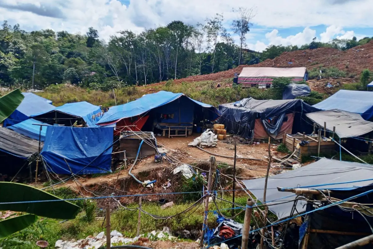 Praktik PETI di Murung Raya Kalteng: Antara Emas, Lapangan Kerja dan Masa Depan