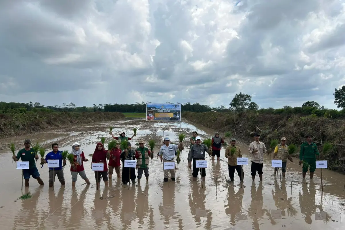 Dari Kelas ke Sawah, Mahasiswa Polbangtan Malang Dukung Brigade Pangan di Kalimantan Tengah