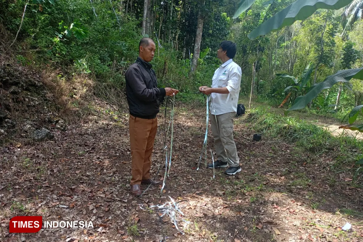 Serangan monyet ekor 3