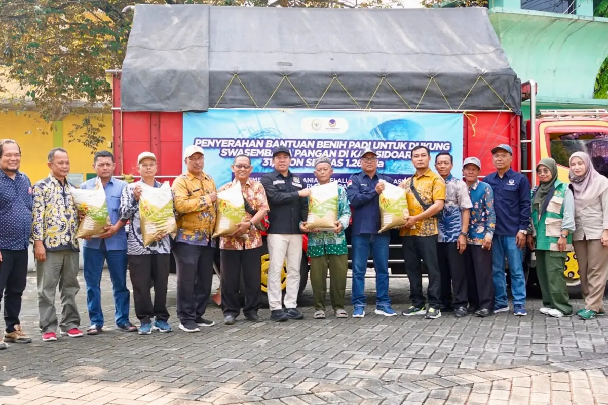 NasDem Sidoarjo Salurkan 31,6 Ton Benih Padi untuk 50 Kelompok Tani