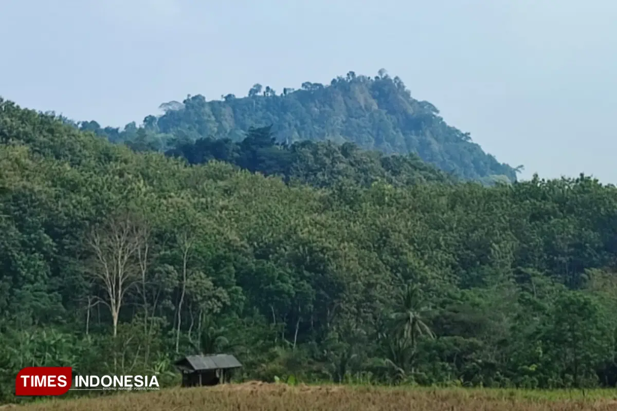 Tradisi Ngawor di Lemah Abang Tegal, Petilasan Syekh Siti Jenar Jadi Ruang Syukur Warga