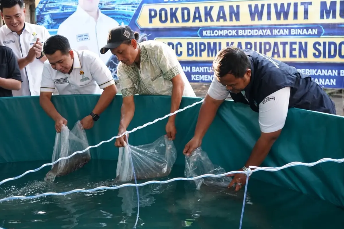 HIPMI Sidoarjo Luncurkan Integrated Farming Bioflok, Dorong Kemandirian Ekonomi Desa