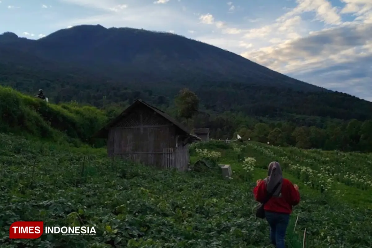 Menggigil, Sumber Brantas jadi Desa Terdingin di Kota Batu Sempat 11 Derajat