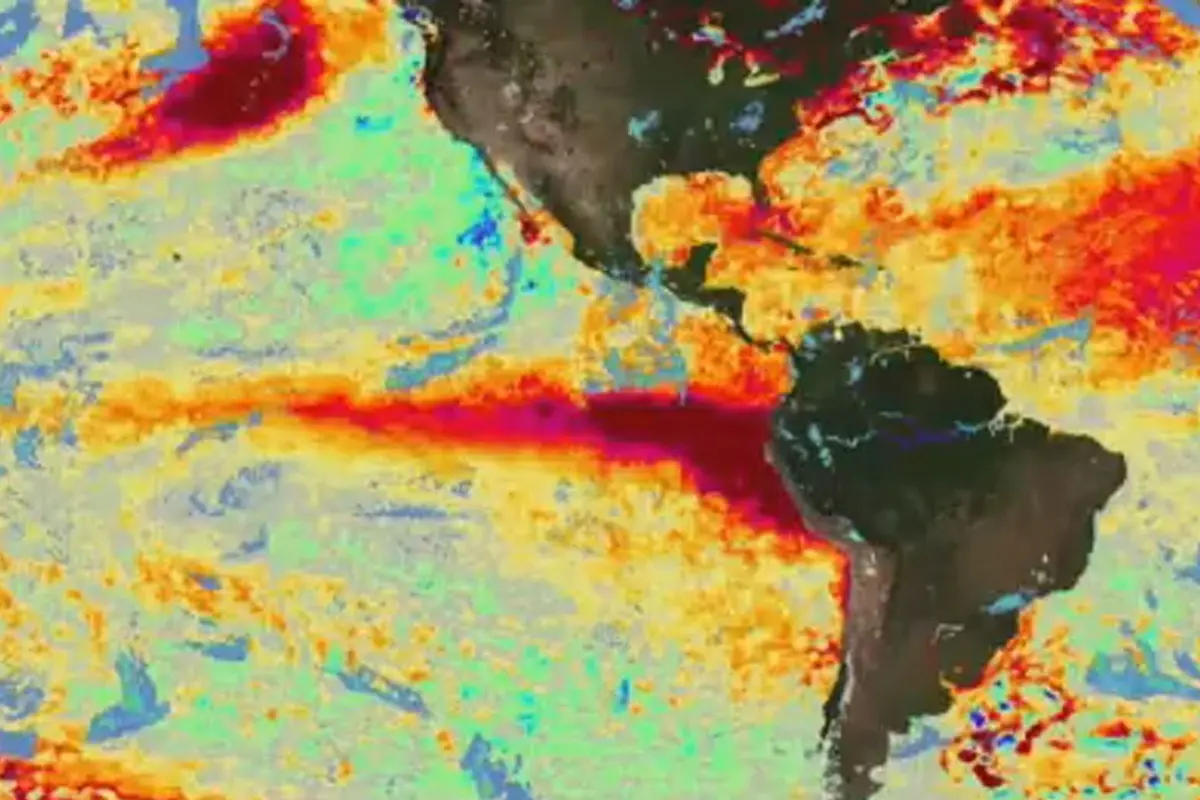 Peringatan WMO: El Nino Kuat Ancam Asia Tenggara, Indonesia Berisiko Kekeringan