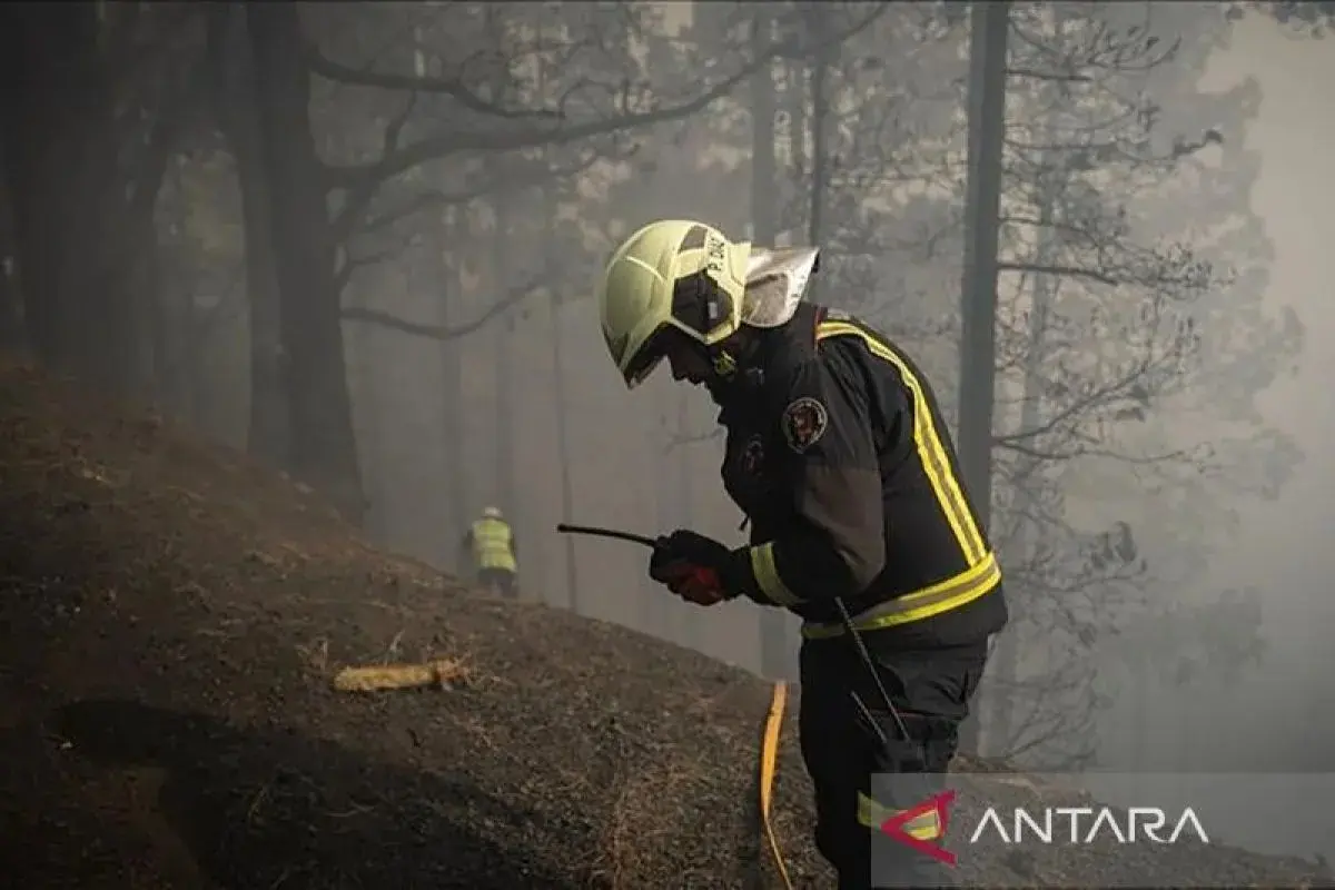Prancis Dilanda Kebakaran Hutan Hebat, Ribuan Warga Dievakuasi
