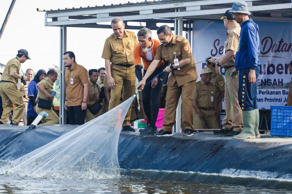 Tambak Udang Berteknologi Closed System Milik Pemprov Jateng Hasilka Panen 1,3 Ton