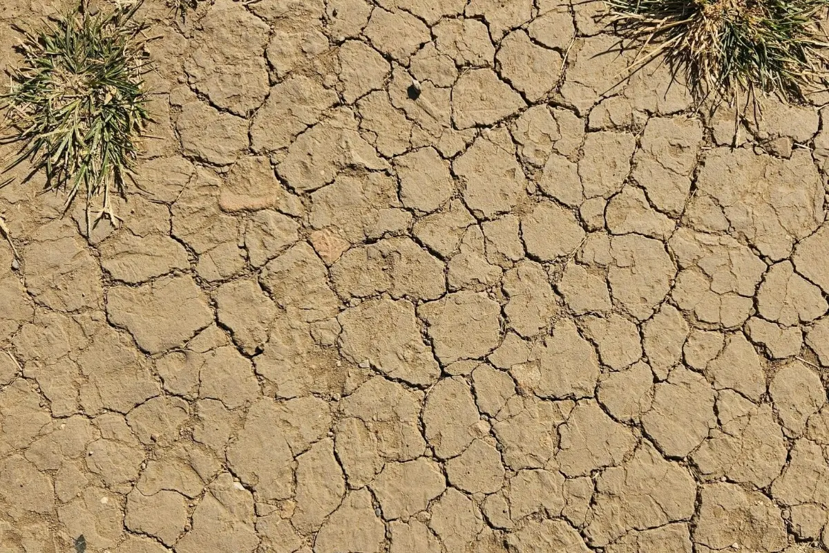 Dampak Fenomena El Nino, Kota Cimahi Terancam Krisis Air Bersih