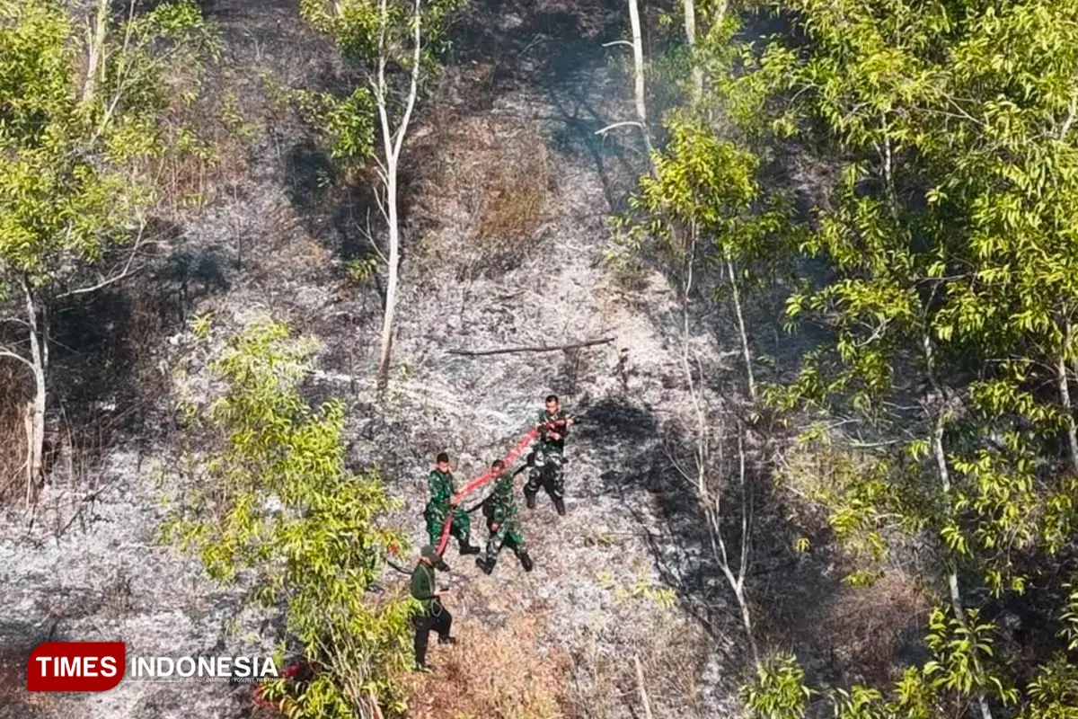 Diduga Dibuka dengan Cara Dibakar, 10 Hektare Hutan Rakyat di Pacitan Hangus Dilalap Api