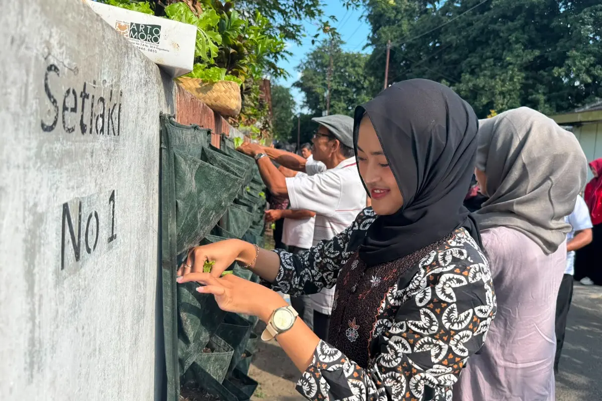 Tanam 1200 Bibit Sawi dan Selada, Kampung Urban Farming Wirobrajan Yogyakarta Siap Jadi Destinasi Edukasi