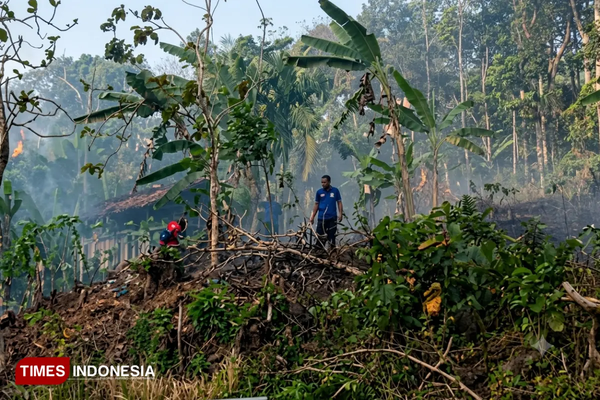Kebakaran 10 Hektare Hutan Belum Masuk Laporan BPBD Pacitan