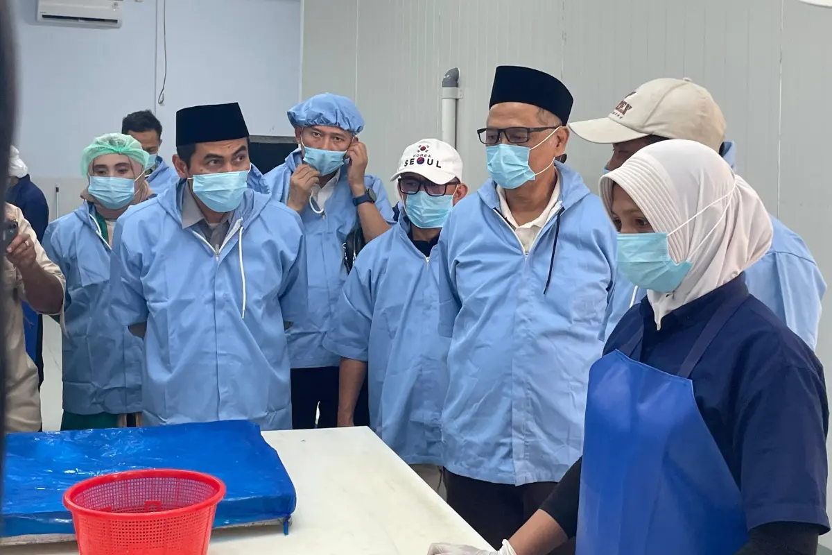 Kemenhaj Dorong Produk Perikanan Baubau Masuk Rantai Pasok Haji, Ditjen PE2HU Siapkan Langkah Lanjutan