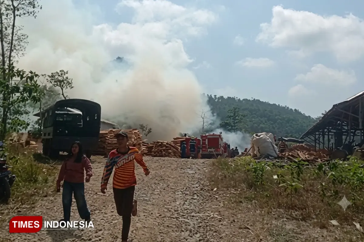 Kebakaran Melanda Area CV Sengon Indah Pacitan, Damkar Berjibaku Jinakkan Api di Tumpukan Limbah