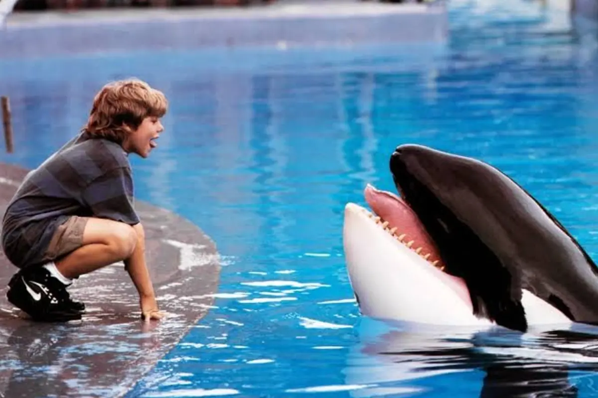 Warner Bros Siap Reboot Film Free Willy