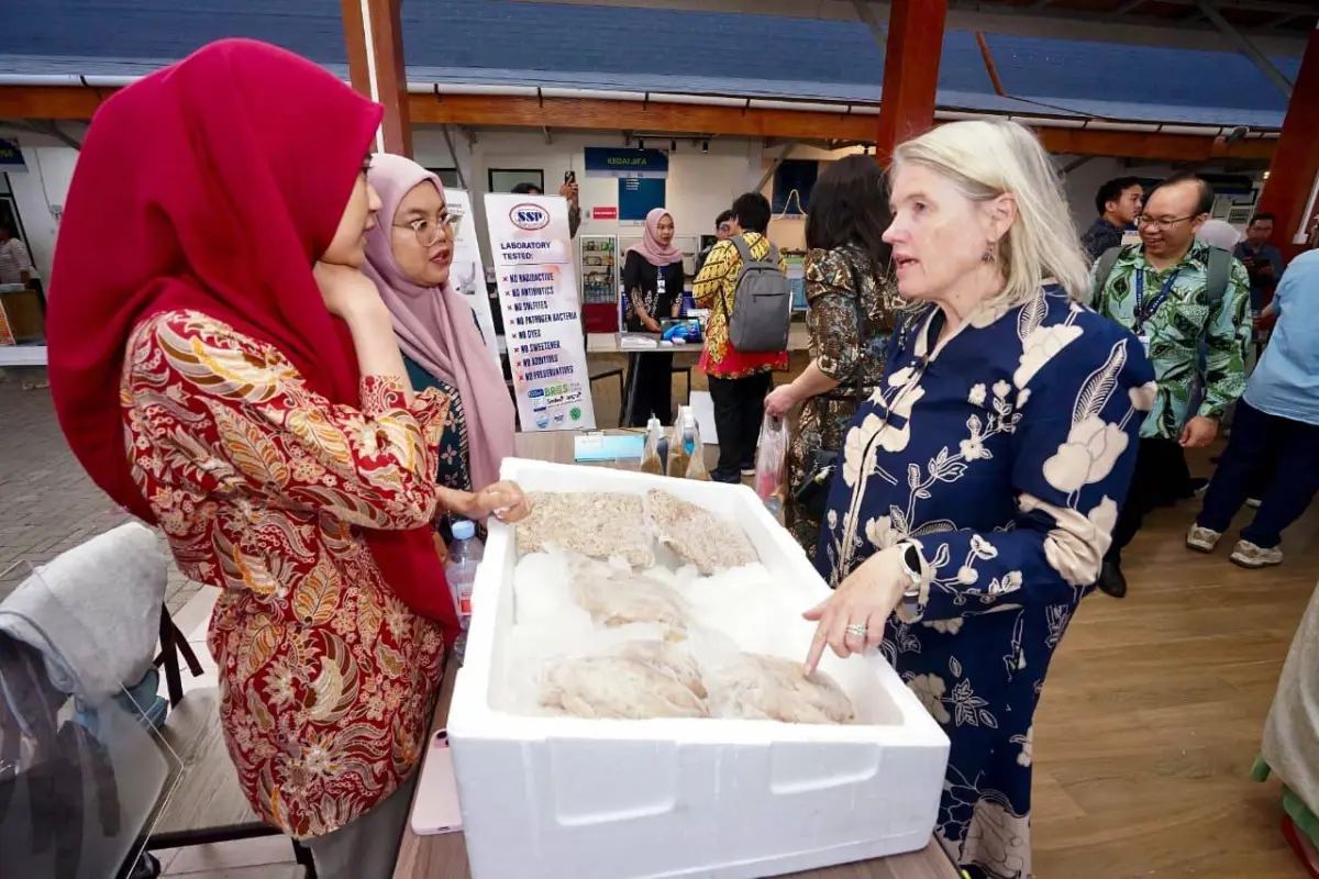 opini88 KNMP Lateng Banyuwangi Jadi Contoh Gerakan Ekonomi Pesisir Berbasis Wisata