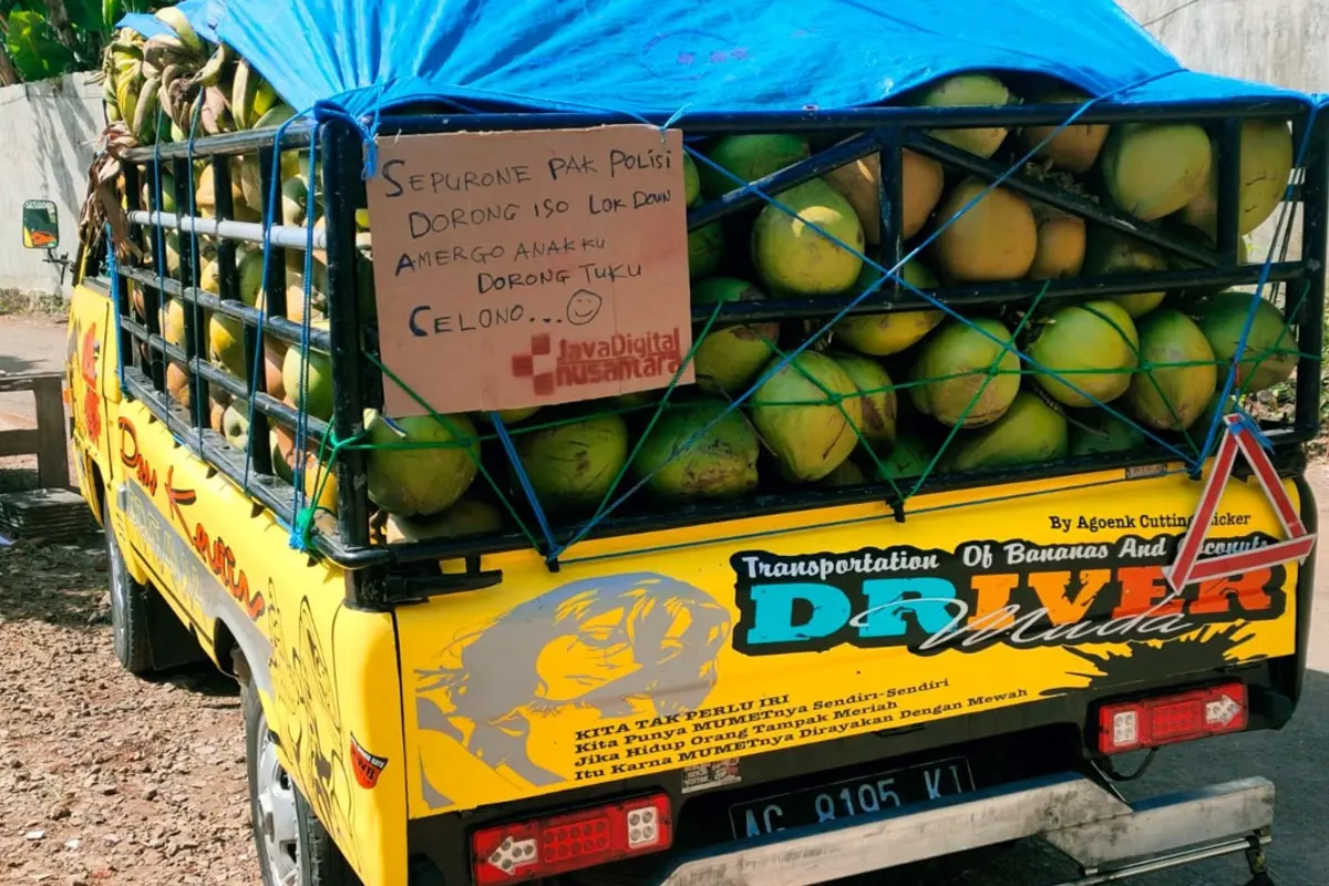 377 Ribu Hektare Kebun Kelapa Nasional Tua, Produktivitas Masih Jauh dari Potensi