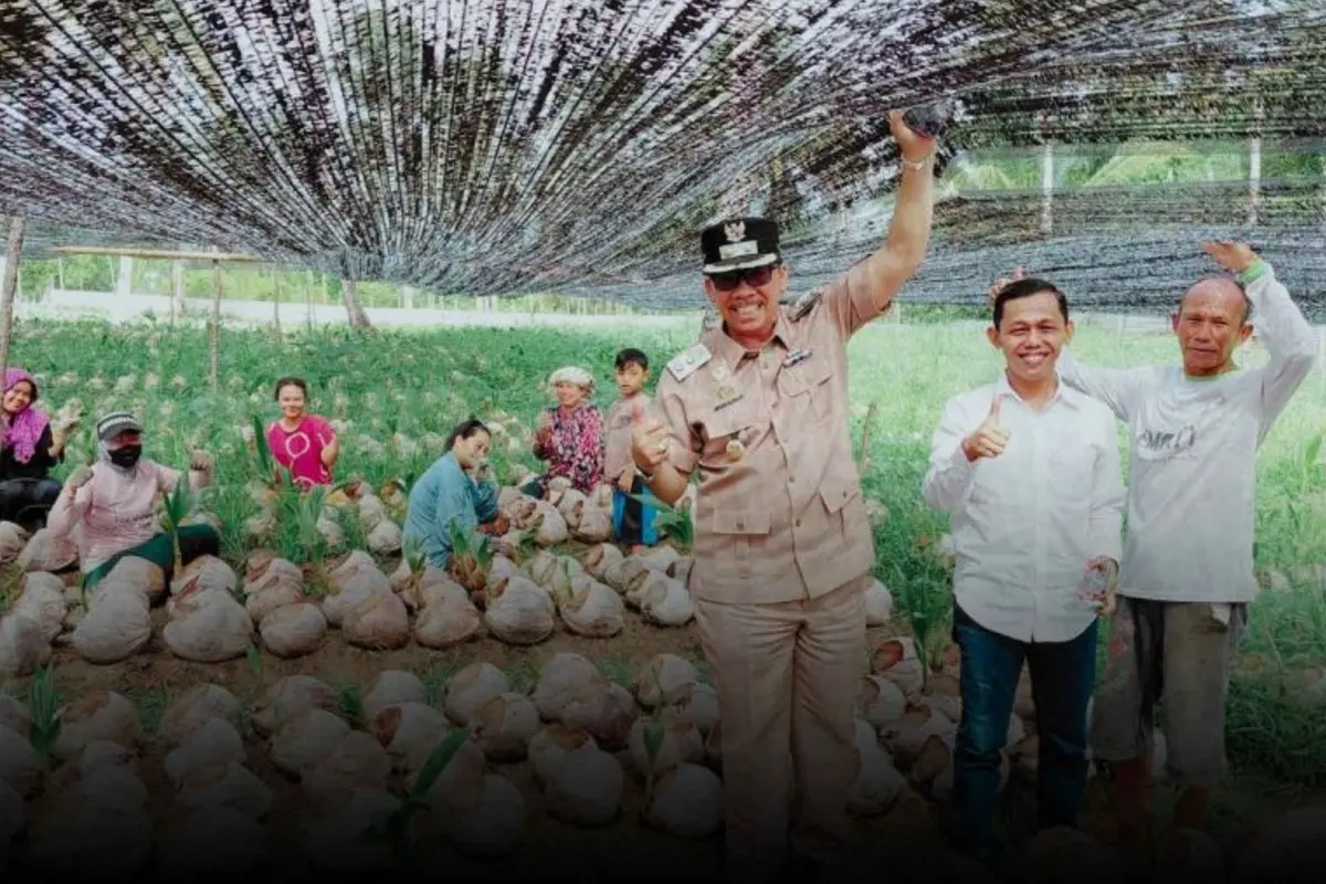 Gunakan Bibit Lokal, Kementan Alokasikan 35 Ribu Bibit Kelapa Unggul untuk Natuna
