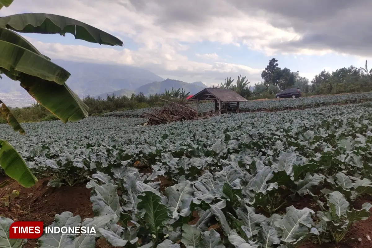 Agar Tepat Sasaran, Pembelian Solar Subsidi Alsintan di Kota Batu Kini Gunakan Aturan Baru