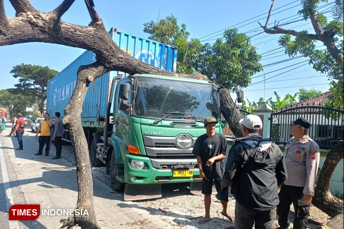Evakuasi 2 Jam, Pohon Tumbang Timpa Truk di Pantura Batangan Pati