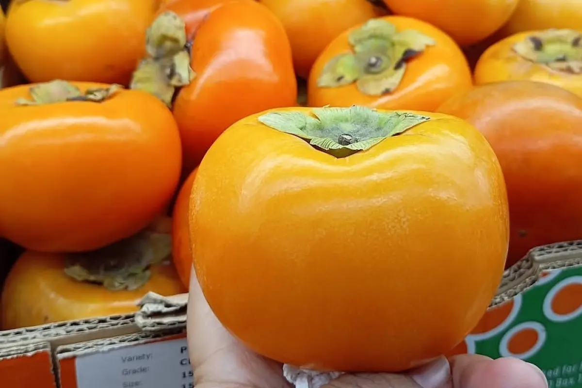 Tidak hanya Apel dan Jeruk, Kesemek Glowing jadi Buah Premium Idola Kota Batu