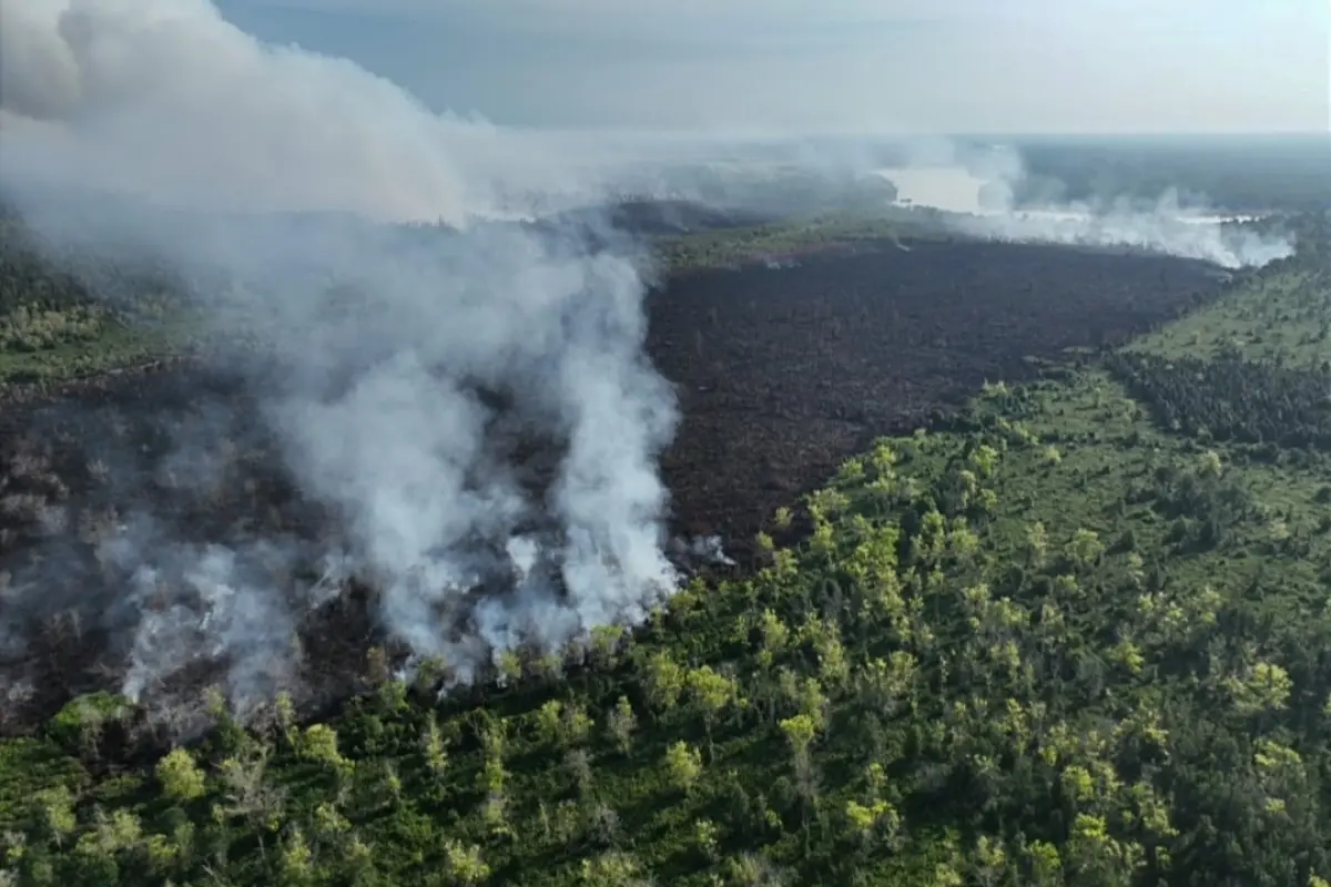 Kebakaran Lahan Terjadi Setiap Hari, Wali Kota Palangka Raya Minta Warga Setop Bakar Lahan