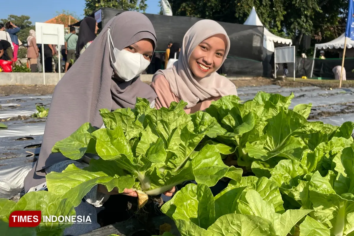 Petro Agrifood Tumbuhkan Minat Generasi Muda Gresik untuk Bertani