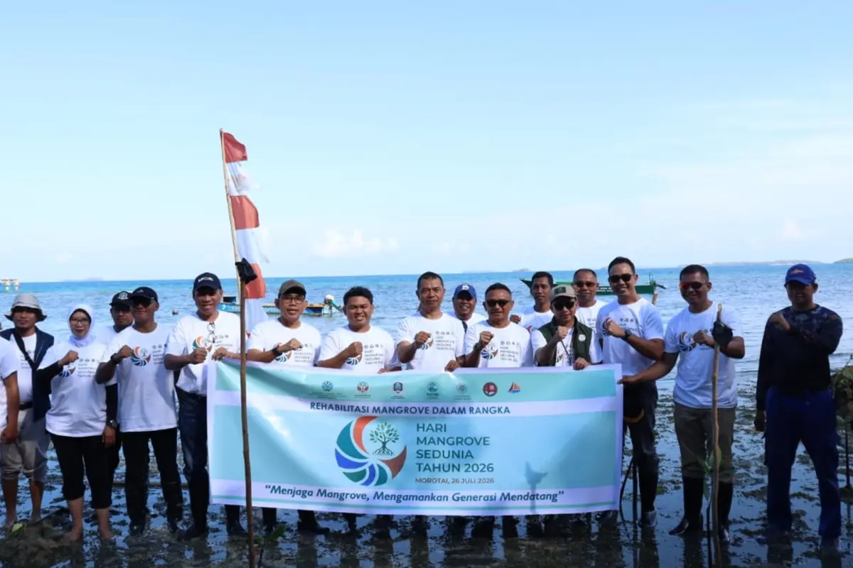 Hari Mangrove Sedunia, Pemkab Pulau Morotai Perkuat Rehabilitasi Hutan Mangrove di Pesisir Armydock
