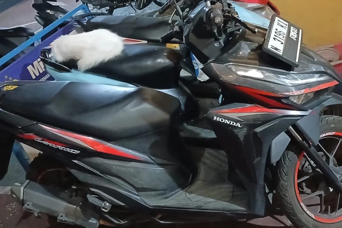 Warga Kota Malang Gagalkan Maling Motor, Pelaku Tak Berkutik Usai Terjatuh