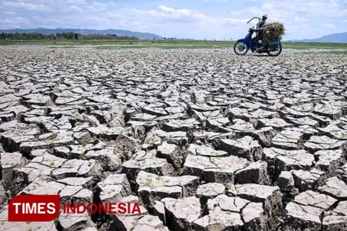 BMKG: El Nino Diperkirakan Bertahan hingga Awal 2027